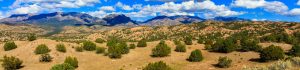 New Mexico Land desert